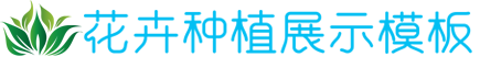 星空真人官方,星空真人平台